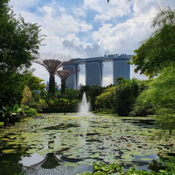 View of Gardens by the Bay against the backdrop of Marina Bay Sands