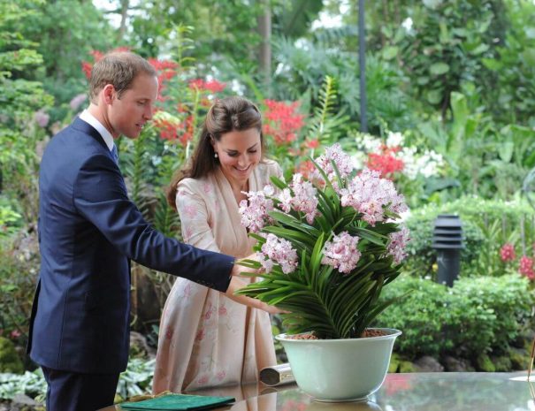 national-orchid-garden