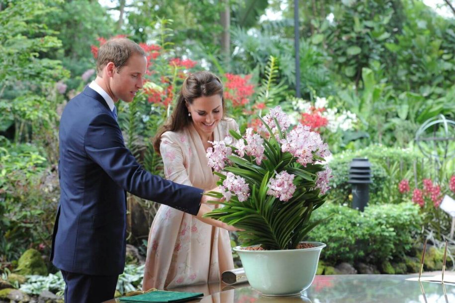 national-orchid-garden