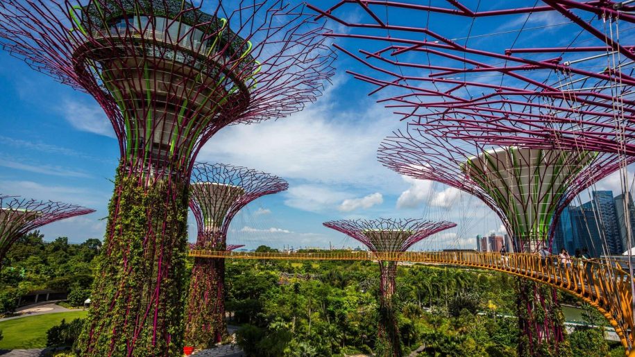 supertree-grove-at-gardens-by-the-bay