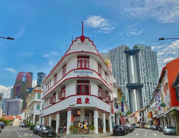 singapore-urban-planning-and-public-housing-tour