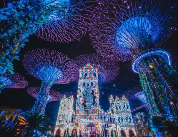 See-Christmas-Wonderland-on-a-Custom-Walking-Tour-of-Singapore
