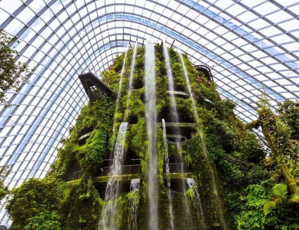 Gardens-by-the-bay-Cloud-Forest