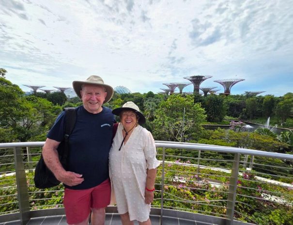 private-car-tour-in-singapore