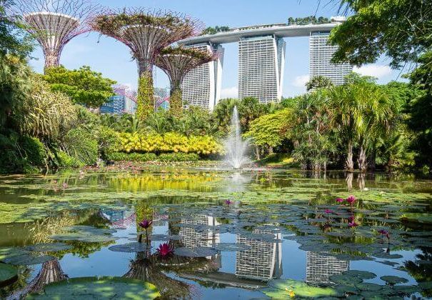 singapore-city-tour-guide-view-from_gardens-by-the-bay