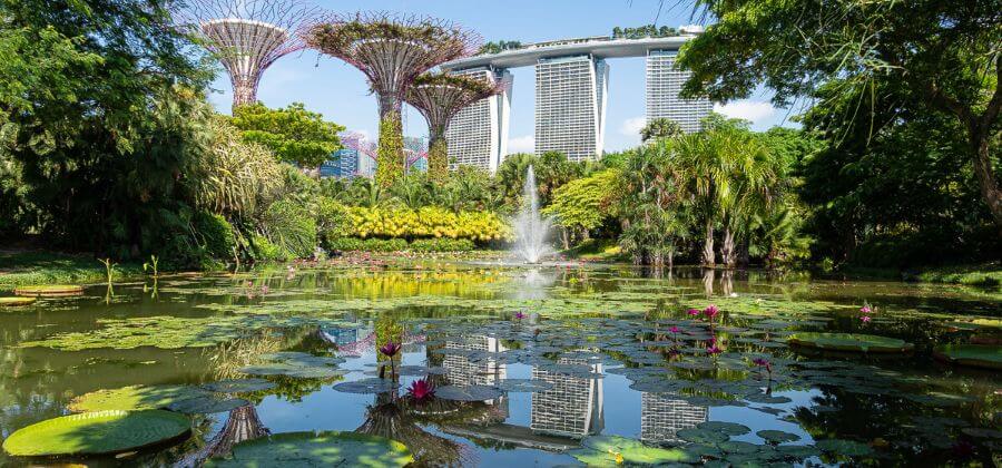singapore-city-tour-guide-view-from_gardens-by-the-bay