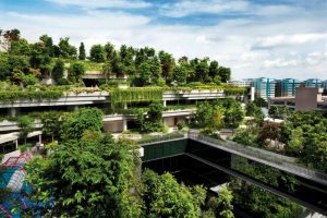 Singapore-public-housing-vertical-greenery
