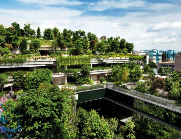 Singapore-public-housing-vertical-greenery